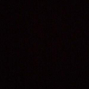 Meet your Posher, George